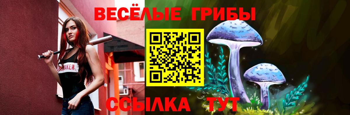 Галлюциногенные грибы MAGIC MUSHROOMS  Вход с VPN  Асино 